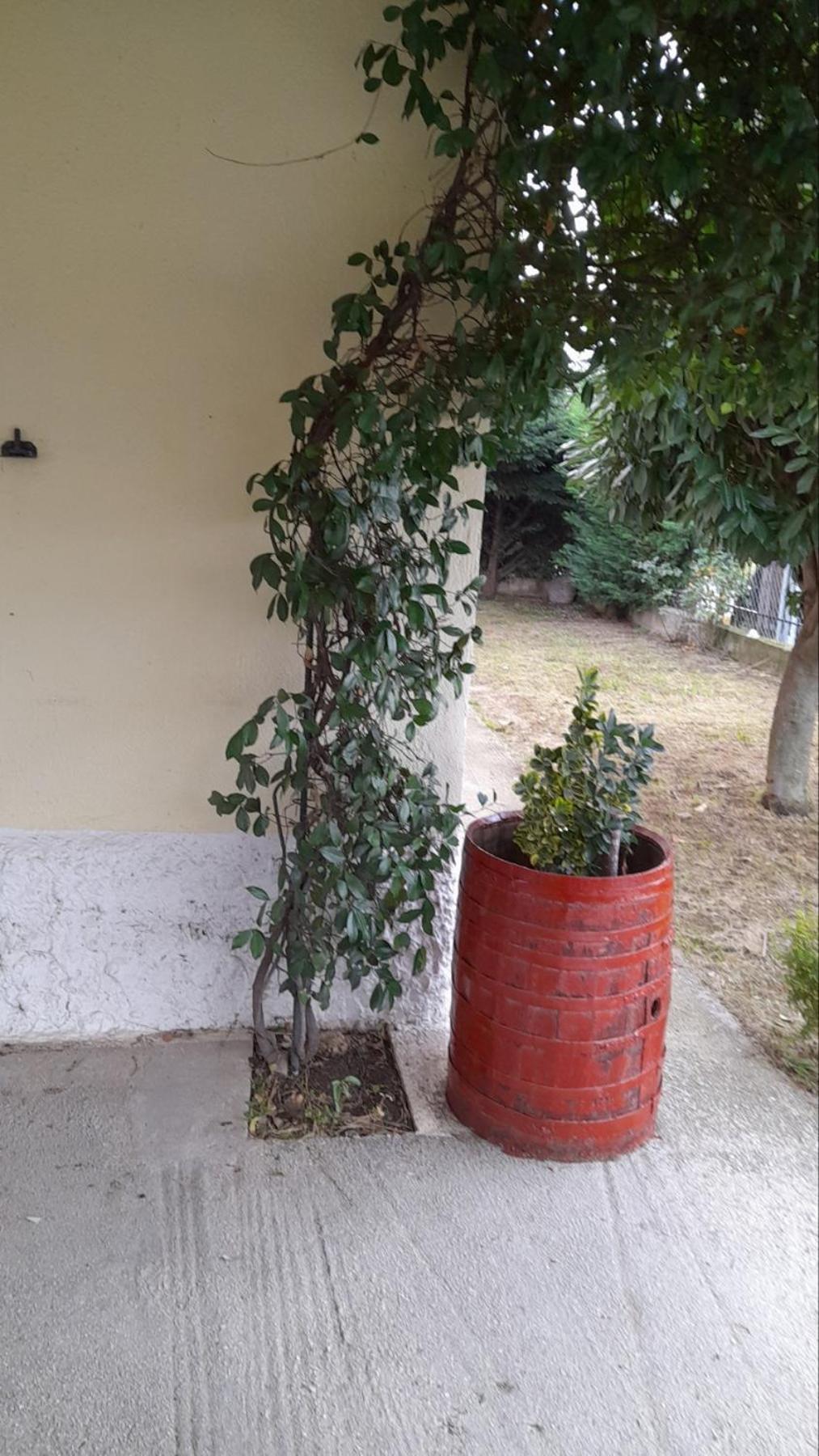 Little Hidden Paradise Trikala  Luaran gambar